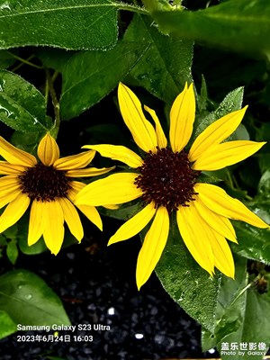 【難忘2023】美好時(shí)光