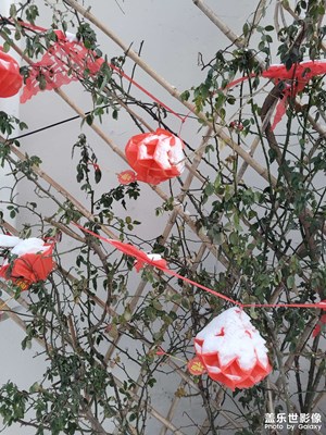 ＃一圖入冬＃終于出太陽(yáng)了
