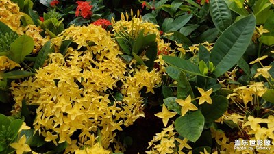 【難忘2023】大雨過(guò)后