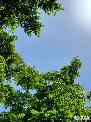 【隨處風(fēng)景】+隨處都是風(fēng)景