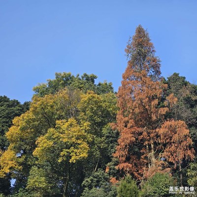 【隨處風(fēng)景】+風(fēng)景隨拍