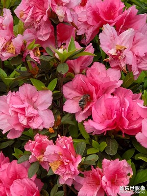 【隨處風(fēng)景】+千變?nèi)f化的風(fēng)景