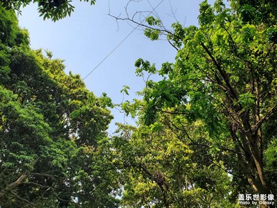 【隨處風(fēng)景】+悠然自得看世界