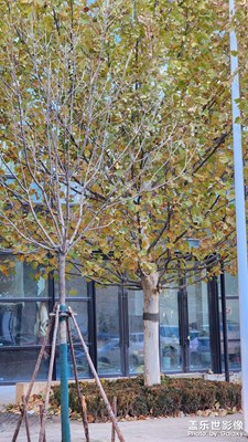 難忘2023 秋冬更替