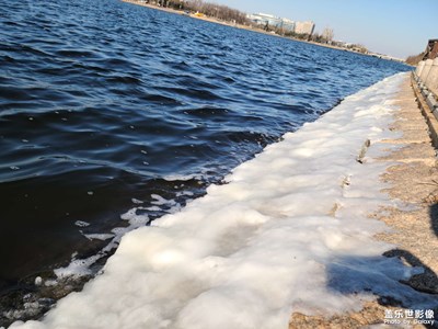 【冬日里的溫暖】初雪隨拍