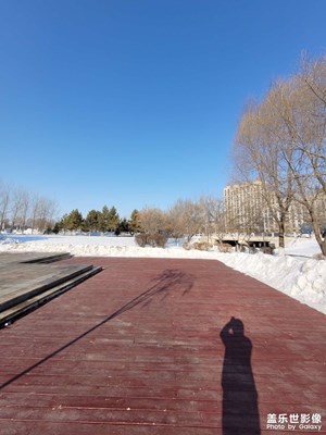 【喜迎2024】+冬日暖陽