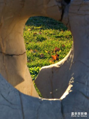 【冬日里的溫暖】暖陽