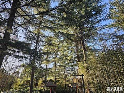 【難忘2023】+從冬再到冬