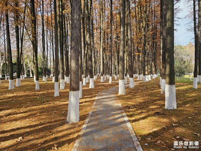 冬天了，不是秋天