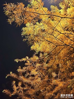 【冬日里的溫暖】+夜色