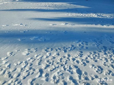 【冬日里的溫暖】北方足記