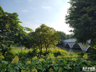 【難忘2023】在廣州生活的第一年