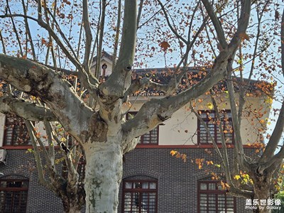 【冬日里的溫暖】+溫暖一下