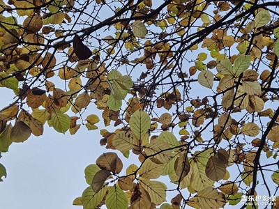 【冬日里的溫暖】+伸懶腰打哈欠