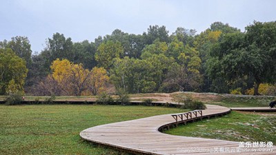 GalaxyS23Ultra 陰天的公主湖