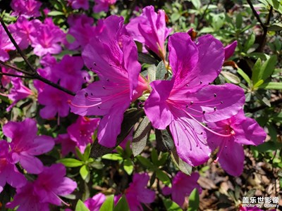 【難忘2023】美麗的風(fēng)景