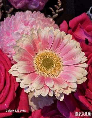 【難忘2023】美好回憶