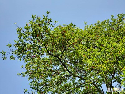 【難忘2023】辭舊迎新