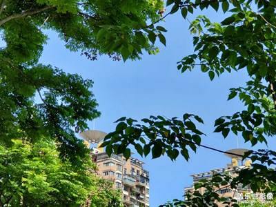 【難忘2023】明天會(huì)更好