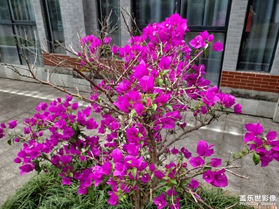 【喜迎2024】+回顧2023