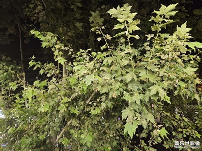 【喜迎2024】+新年新氣象