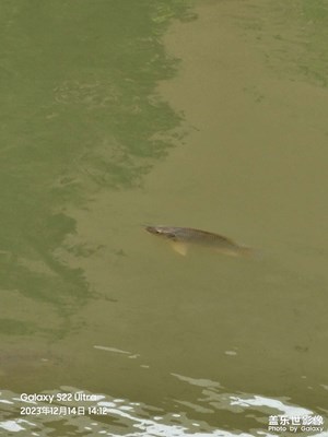 【辭舊迎新】告辭校園，迎接新生活