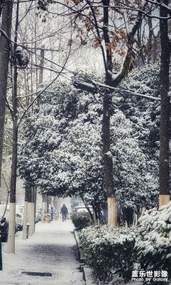 聽雪落下的聲音