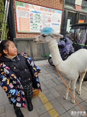 【辭舊迎新】+新年第一玩