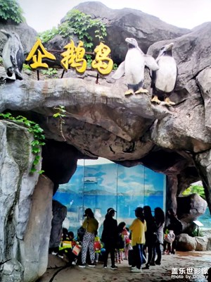 【辭舊迎新】+新年游玩動(dòng)物園