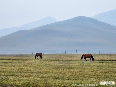 GalaxyS23Ultra

草原牧場