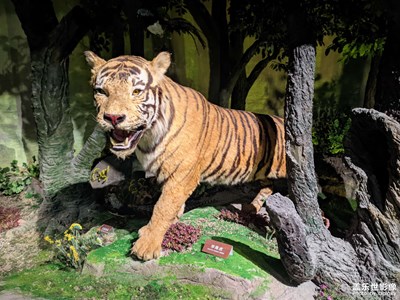 什么都要經(jīng)歷，什么都會過去。