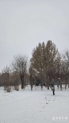 辭舊迎新 過往的這一年