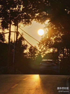 落日余暉待你而歸