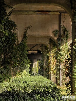 【浮光掠影】橋下的風(fēng)光