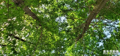 【浮光掠影】+美麗瞬間