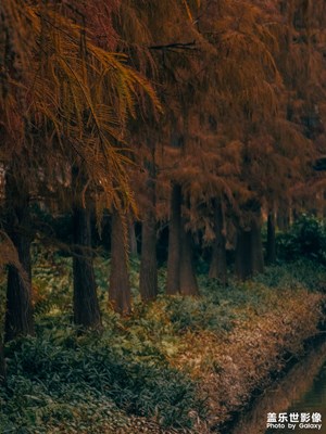 S23U旗艦還有幾天就退役了