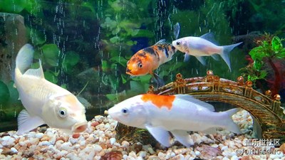 S6 edge+ 暗光隨拍