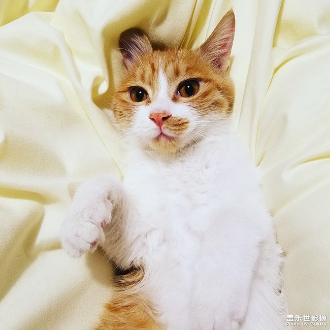 快扶朕起來(lái)