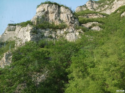 【人間四月天】+盎然綠意