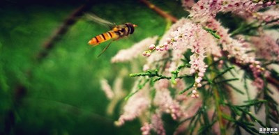 帶上Note8去郊游