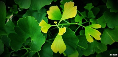 與Samsung Galaxy定格每一個(gè)精彩畫(huà)面