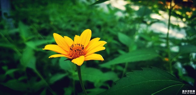 【第100期：各位寶寶們兒童節(jié)快樂(lè)呀 A系列新品即將來(lái)襲】