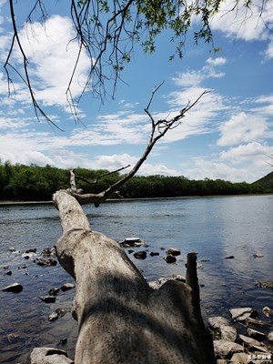 【中國最美瞬間】+呼倫貝爾大草原