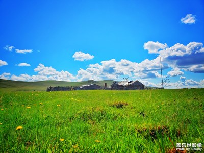 【中國最美瞬間】呼倫貝爾，草原的童話