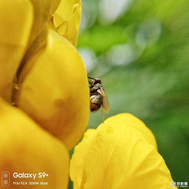 【第106期：三伏天來(lái)襲 各位一定要注意身體喲】