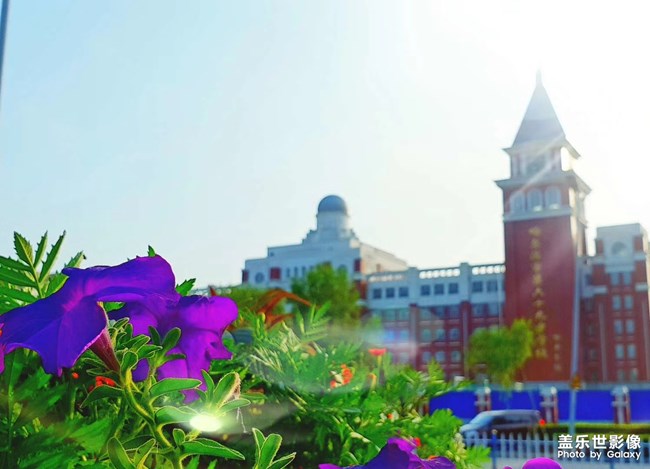 各位還記得自己的母校嗎？