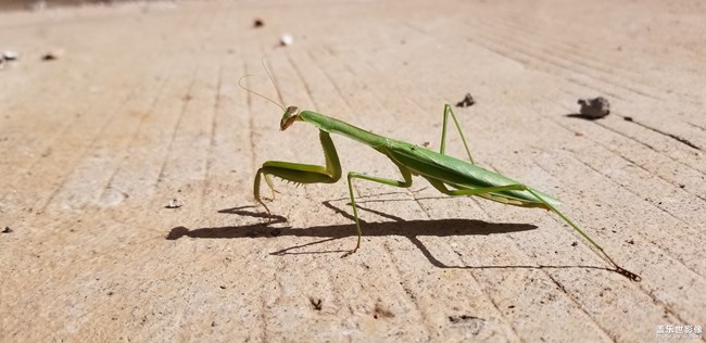 【114期：三星純粹呈現(xiàn) 華晨宇鳥巢演唱會(huì)High翻天】