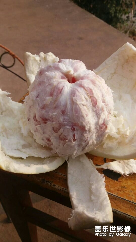 柚子開賣啦