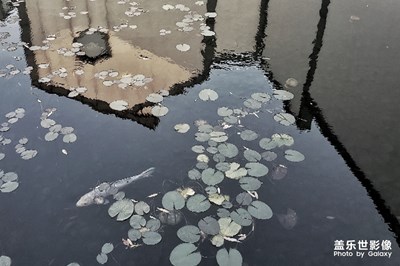 【為中國添色】 水墨江南(黑白) （大眾組）