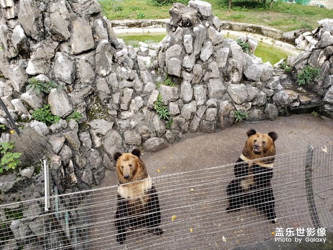 恭喜你??！，恭喜恭喜！